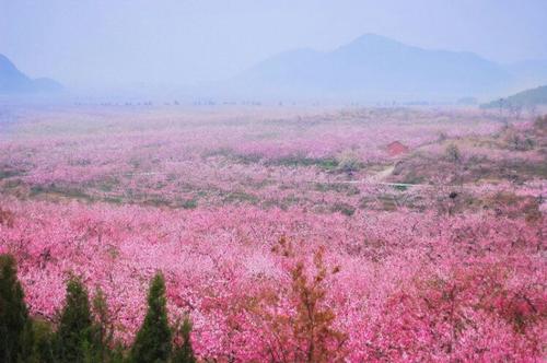 平谷赏十里桃花+平谷石林峡钛合金UFO-飞碟玻璃观景台行程安排